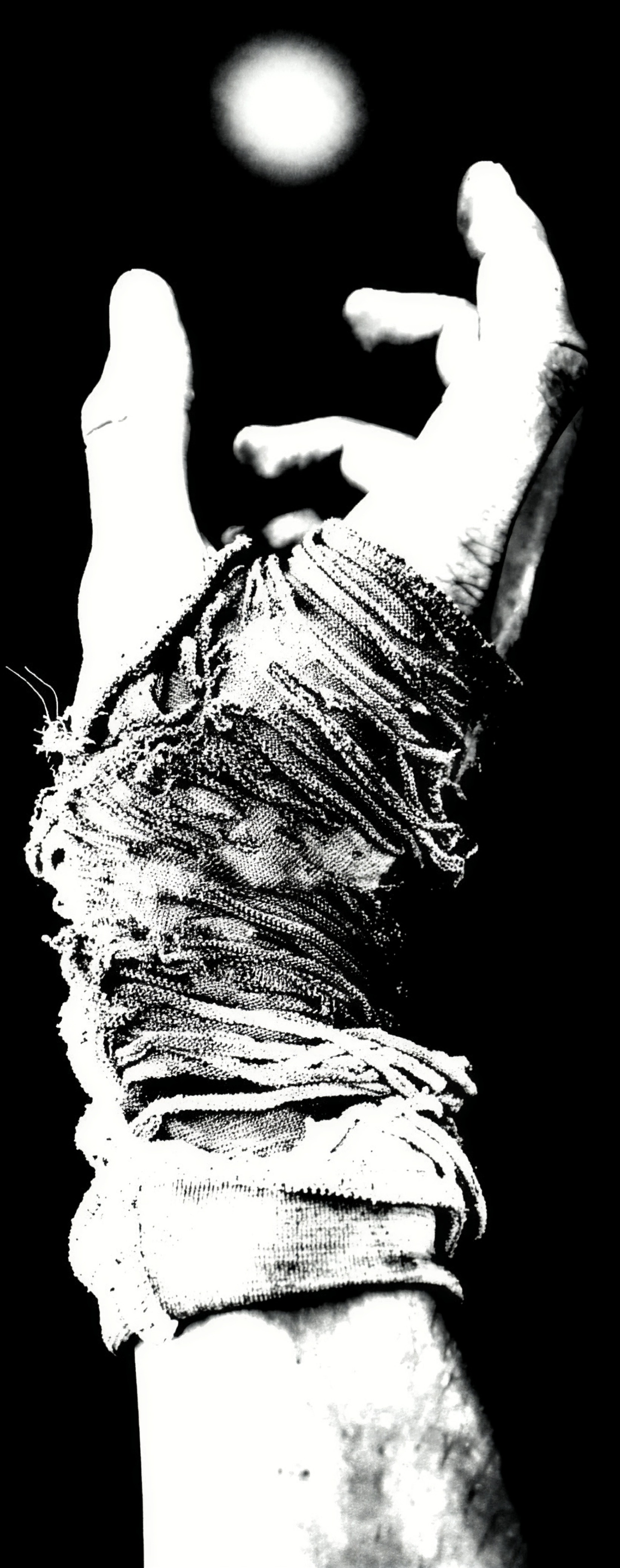 Artwork No. 01: The Reach — Shadow Edition